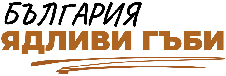 Лого "Ядливи Гъби" България с тъмен надпис